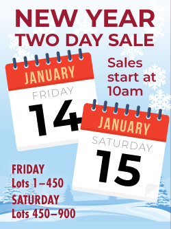 Two Day New Year Sale