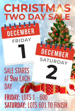 Christmas Sale